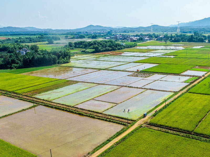 恒美科技助力高標準農田建設，推進農業(yè)現(xiàn)代化